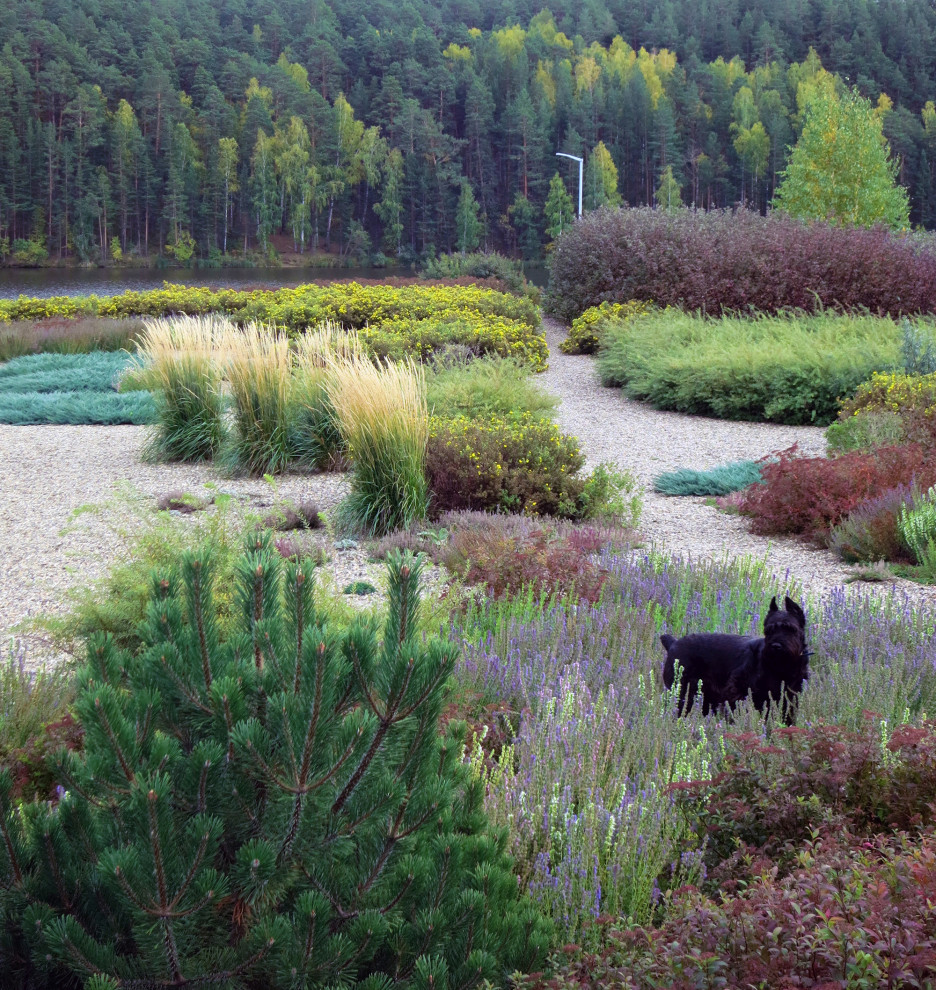 Полынный берег. Новые снимки