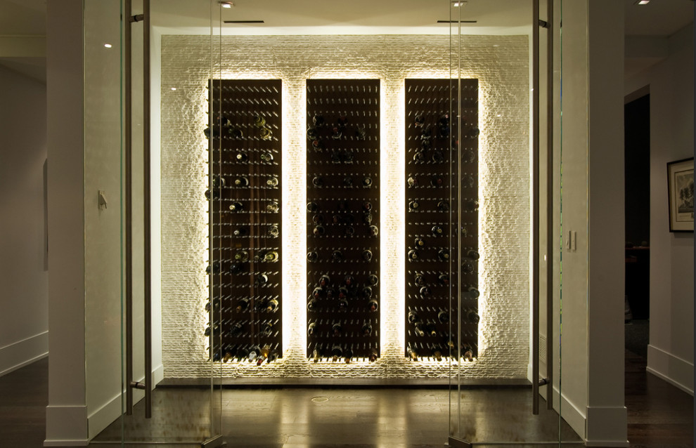 Wine cellar - wine cellar idea in Tampa