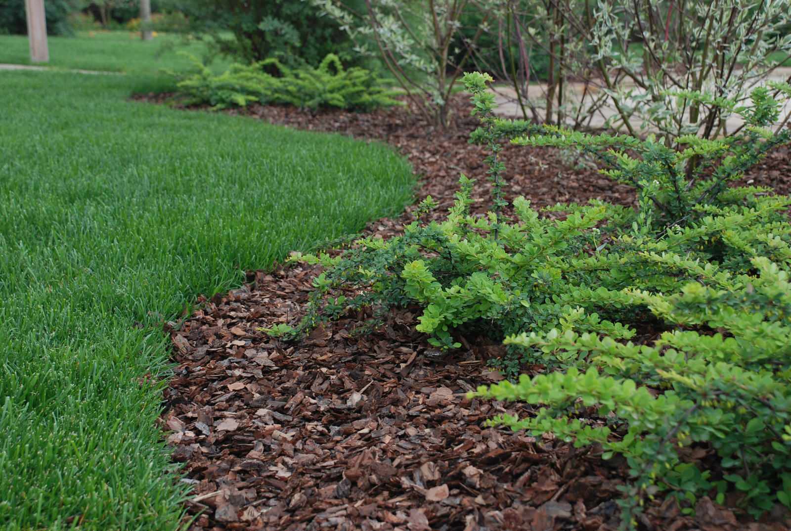 Миллениум Парк 1