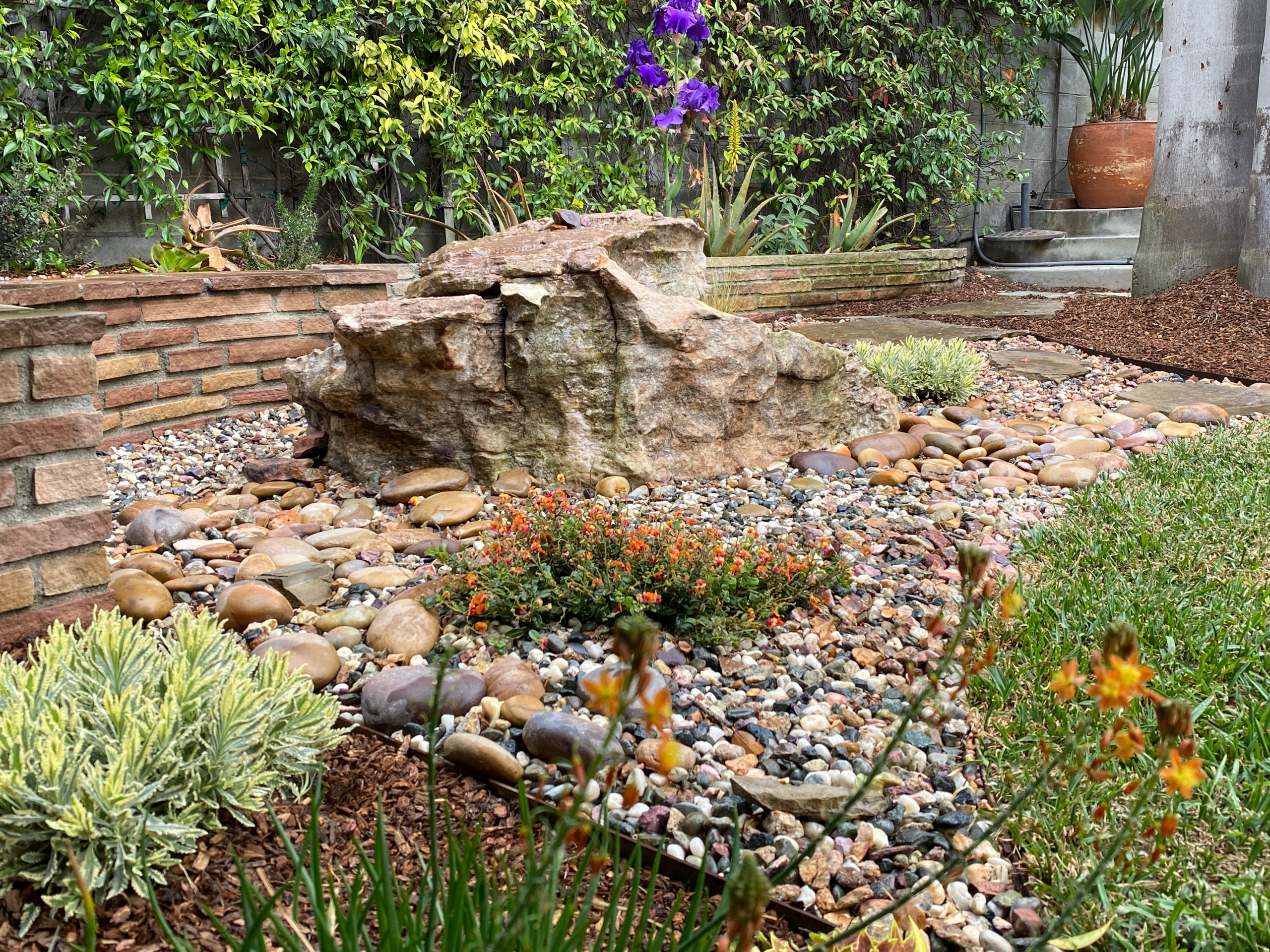 Hermosa Beach: Pollinator Garden