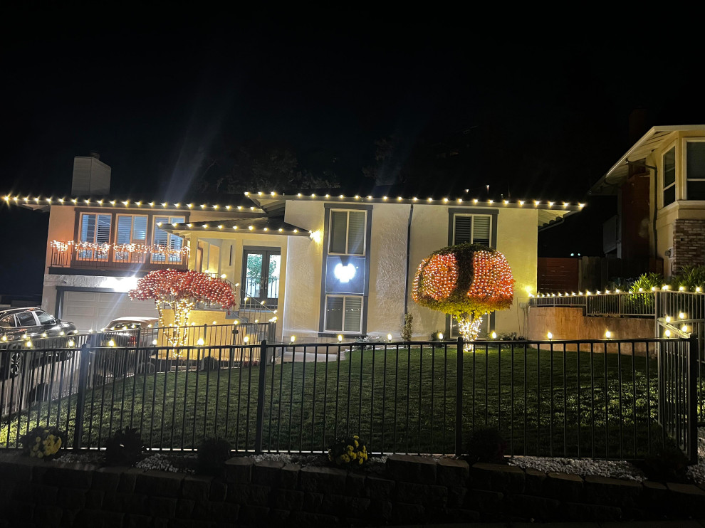 Holiday Lighting Installation