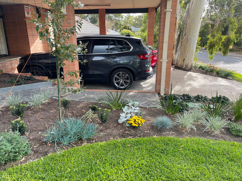 This is an example of a mid-sized contemporary front yard partial sun xeriscape in Adelaide with natural stone pavers.