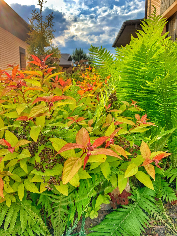 Ландшафтный дизайн в п. Молодёжный (Иркутск)