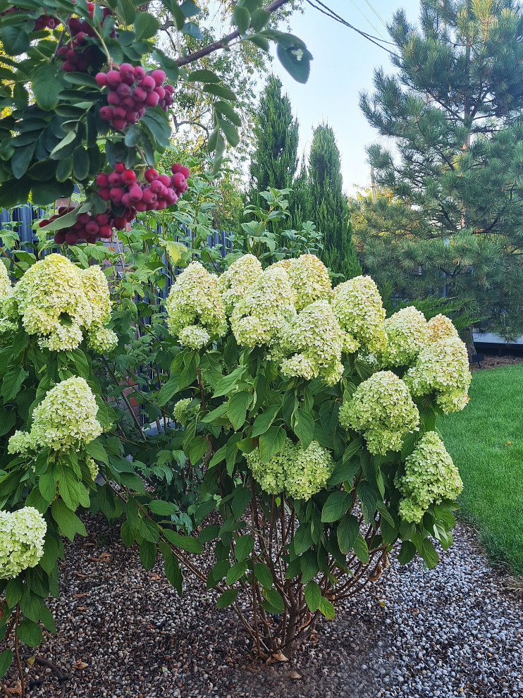 Дача в станице