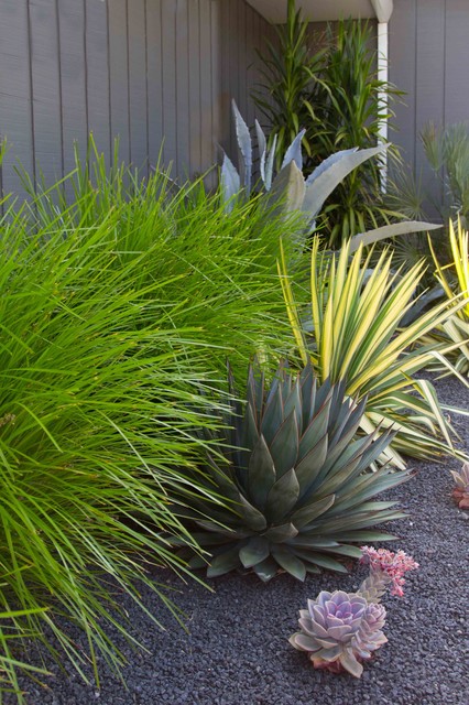 Waterfront Landscaping in Alameda maritim-traedgaard