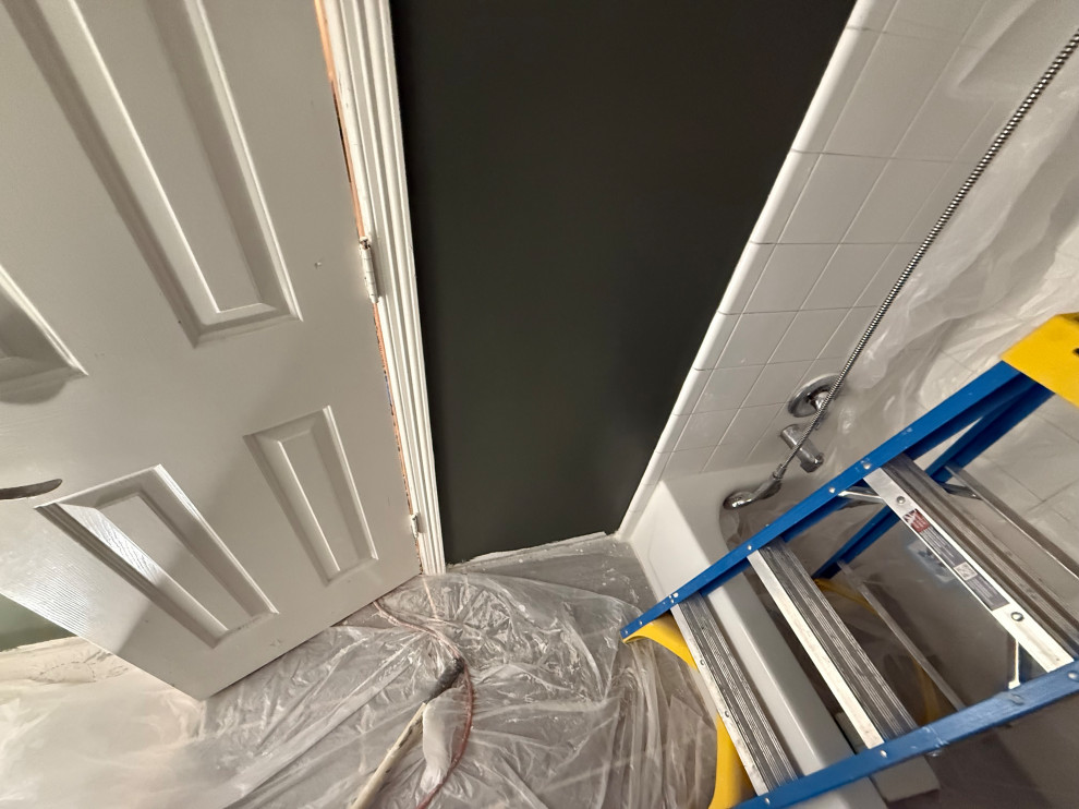 Bathroom Remodelation