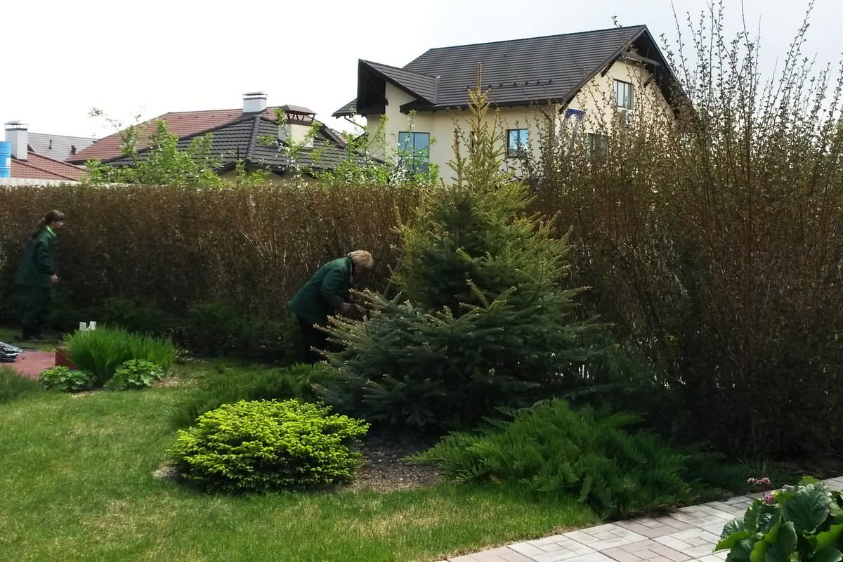 "Теплый ветерок"