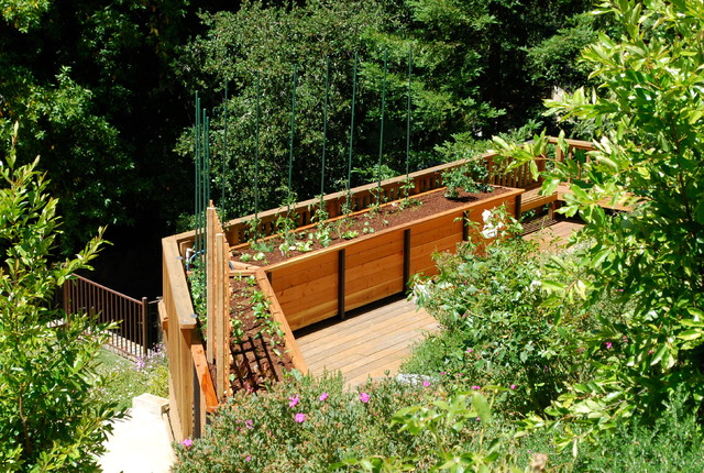 JD Garden, Hillsborough american-traditional-terrace