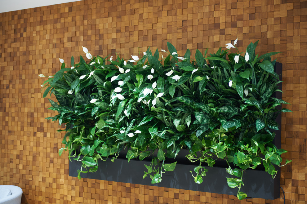 Так рождается красота