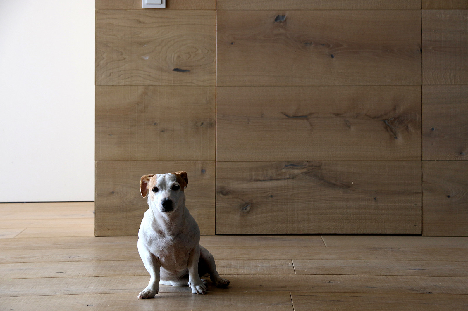 Квартира с панорамным видом на Москву