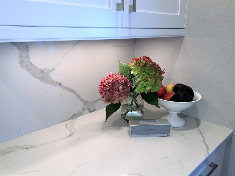 Kitchen - transitional kitchen idea in New York