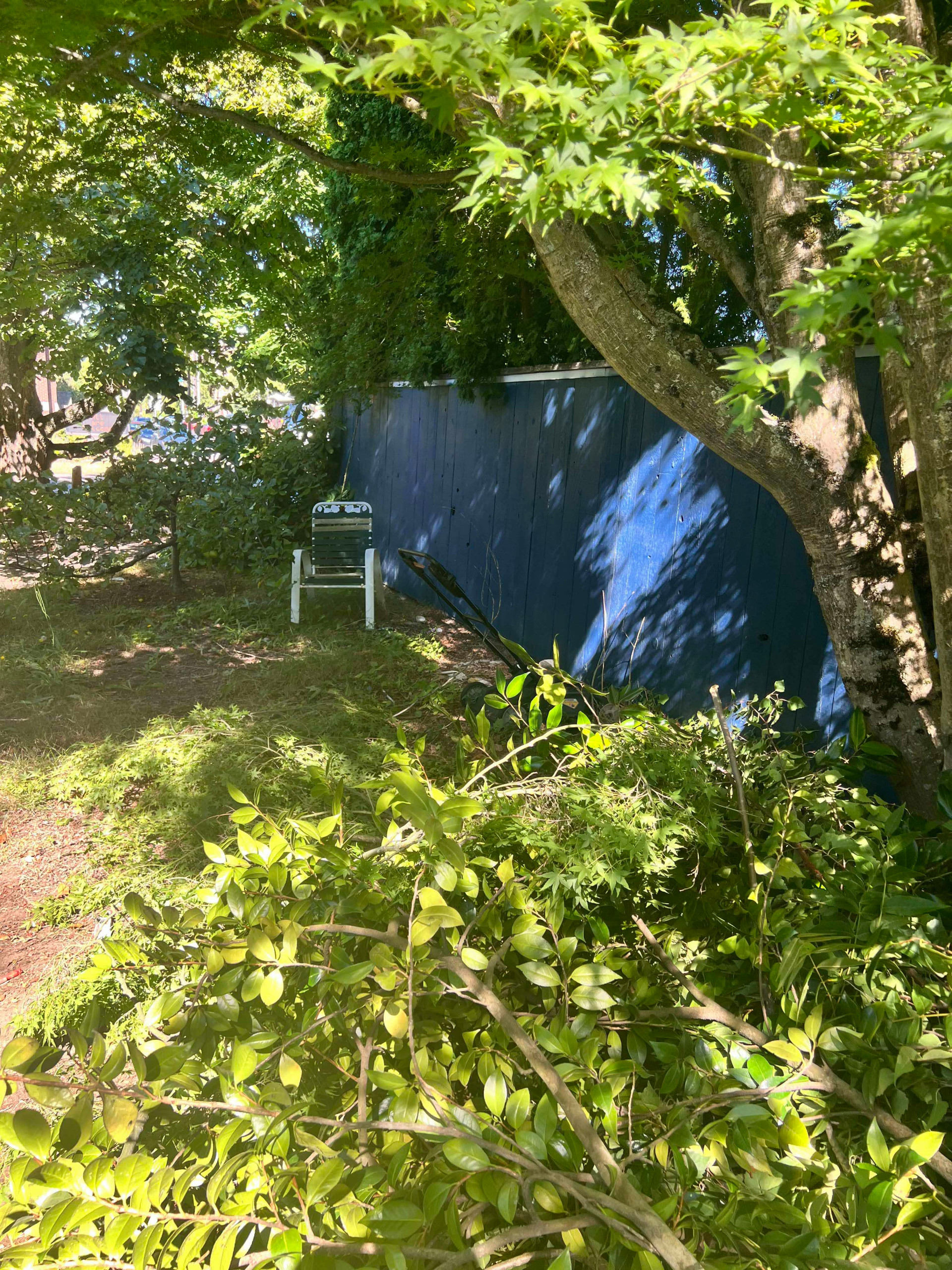 Exterior House Painting
