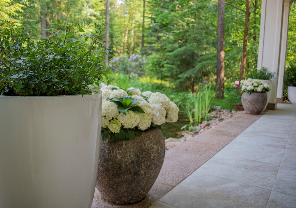 Тропическое озеленение террасы