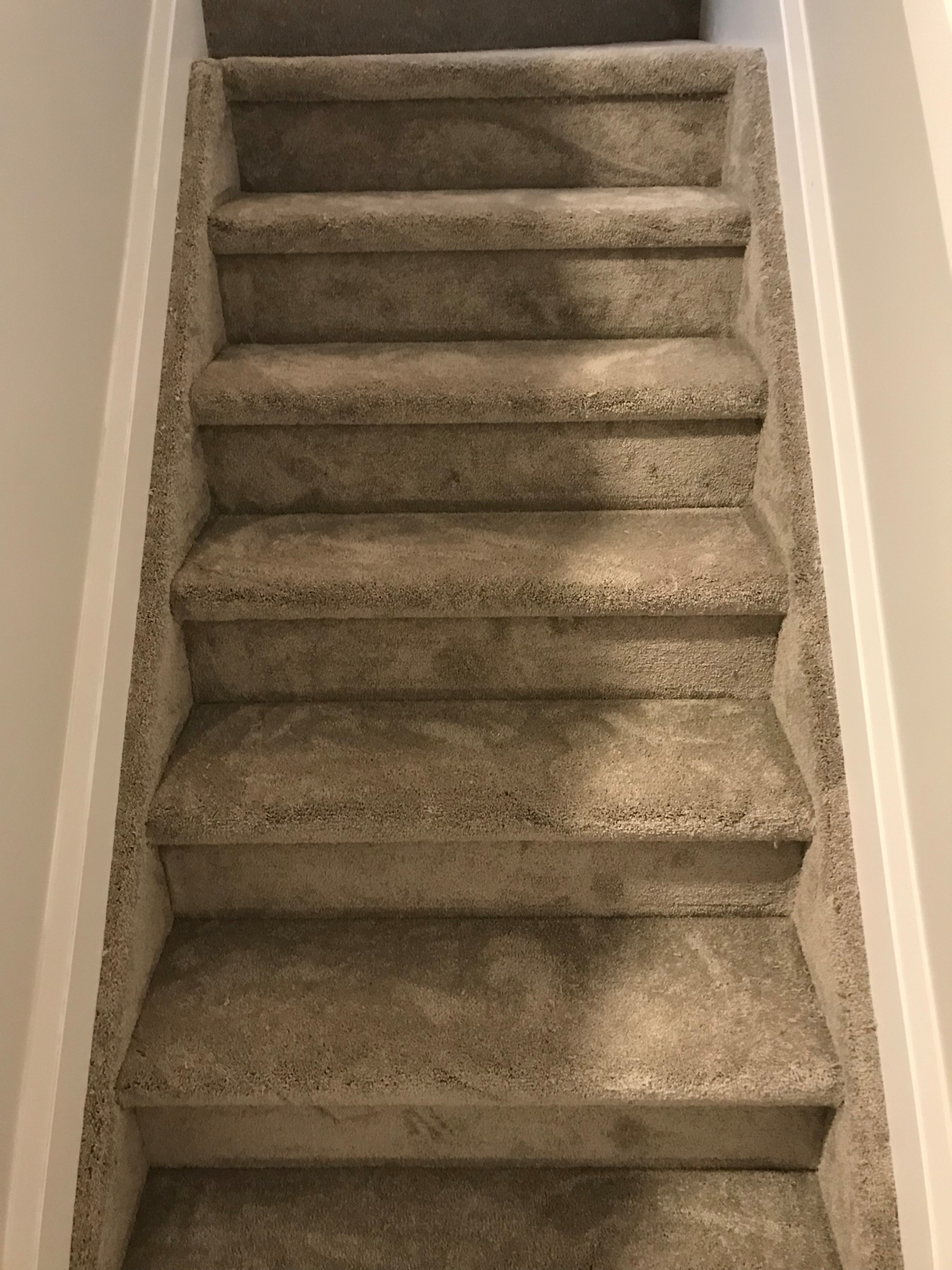 Carpet