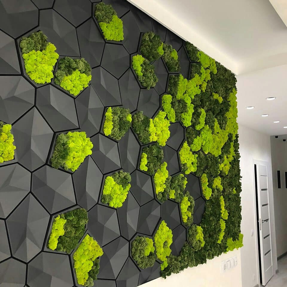 Stabilized Moss Panel