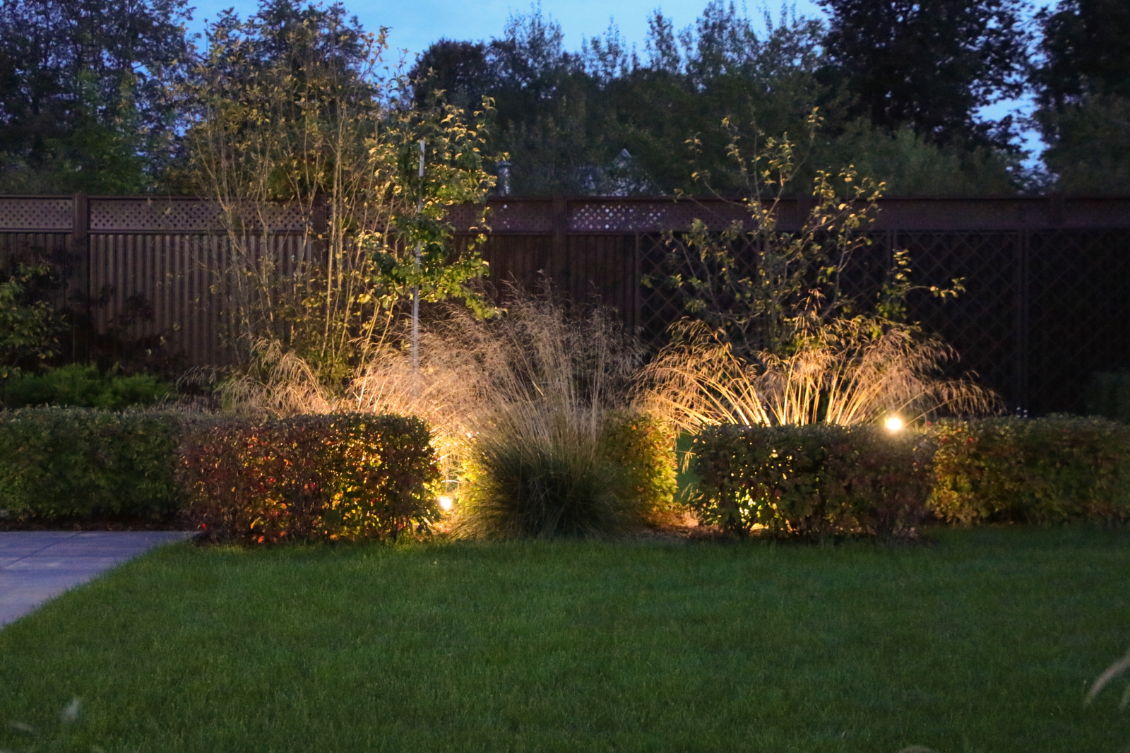 Петровское, ночной сад, 2018-2020 гг.