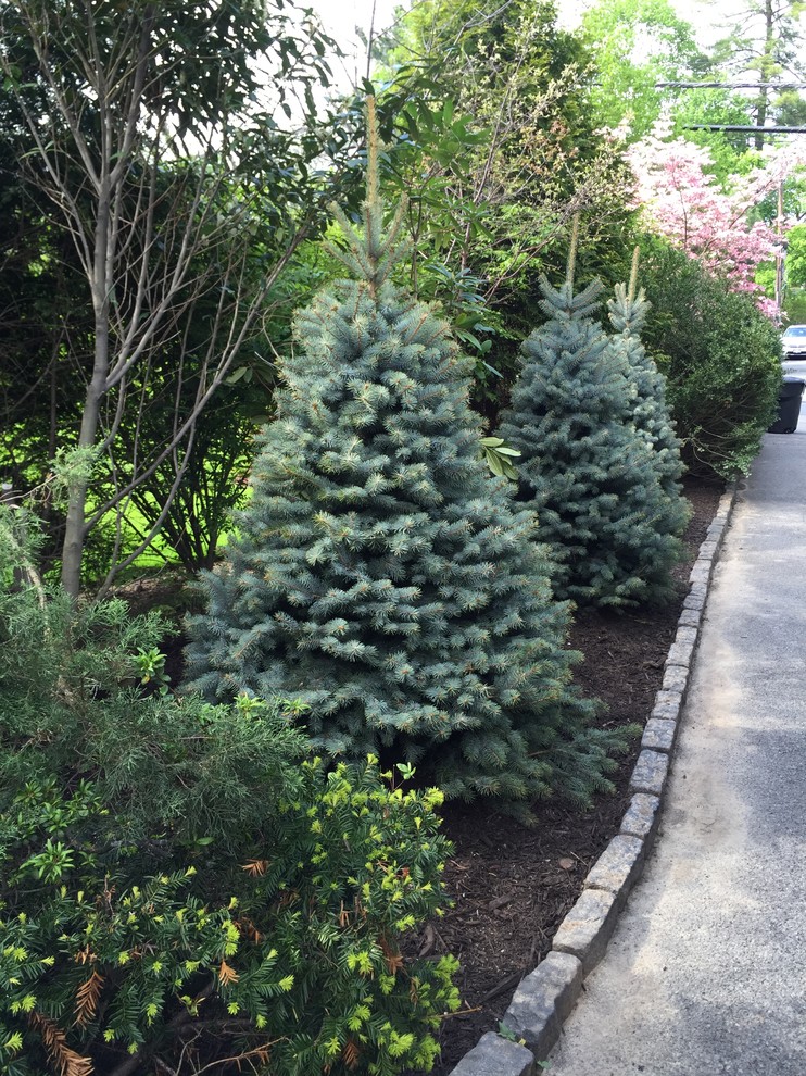 Inspiration for a mid-sized traditional front yard shaded driveway in New York with gravel.