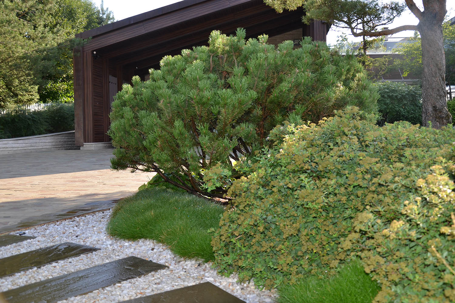 Современный сад в КП "Бенилюкс" вилла 2