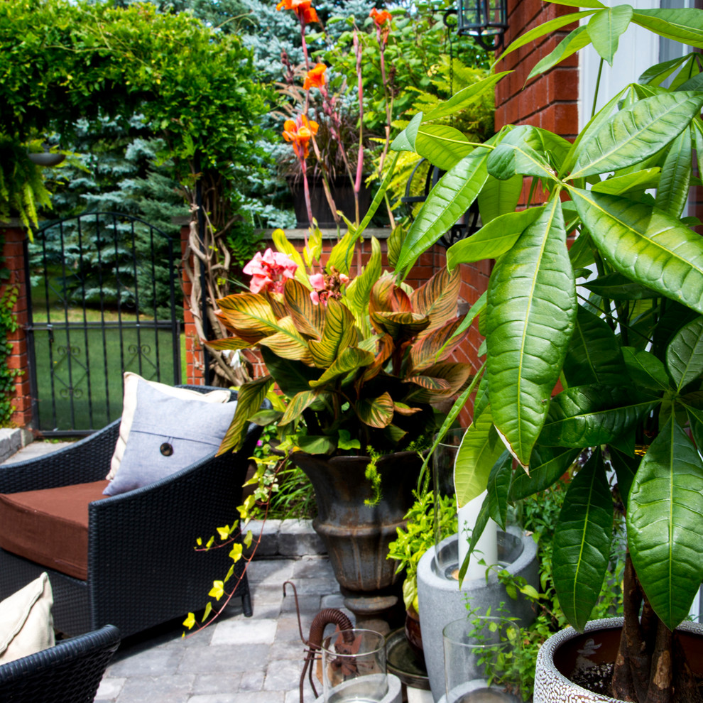Inspiration for a mid-sized transitional side yard patio in Toronto with concrete pavers and no cover.