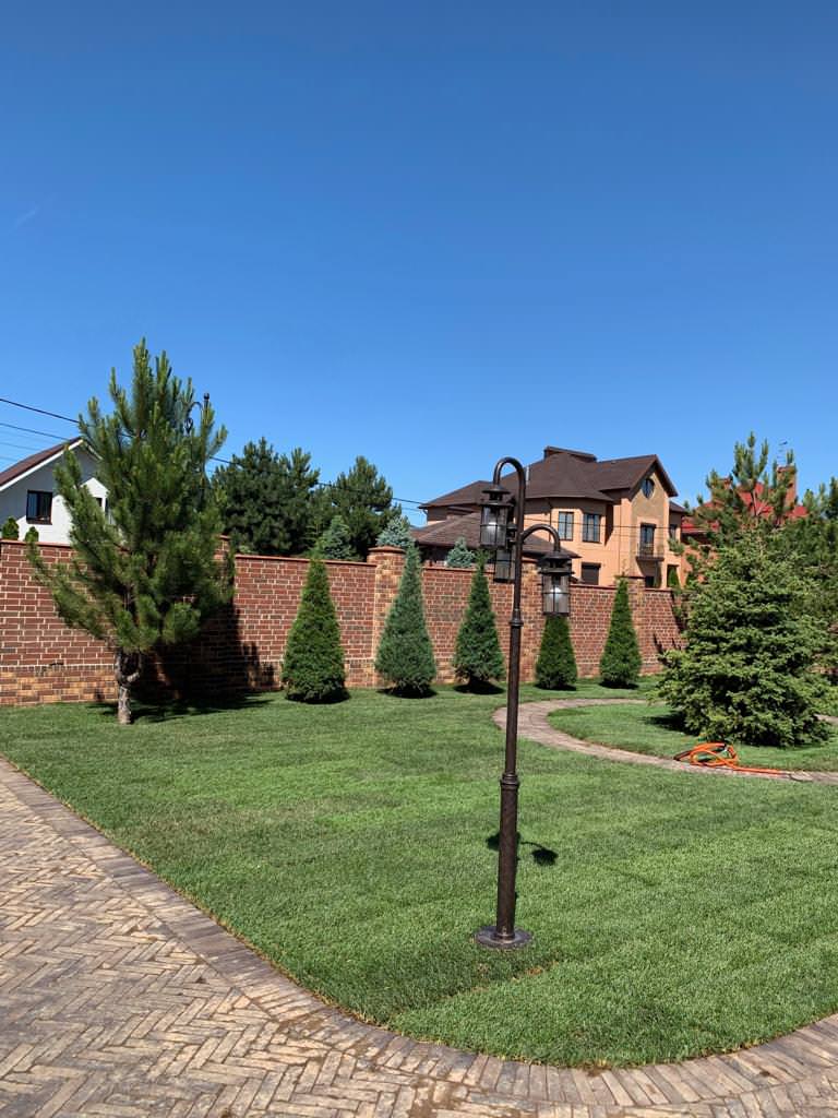 Ландшафт участка г. Ростов-на-Дону