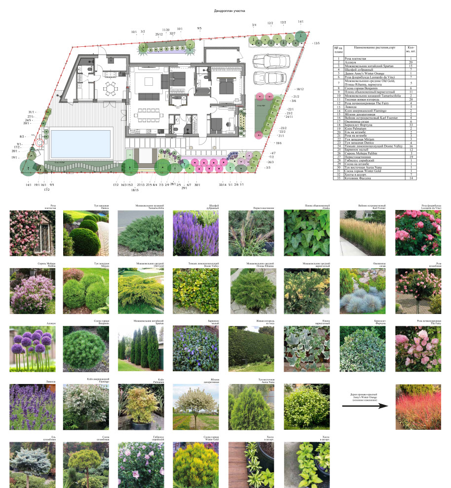 Частный сад "ДольчеВита"