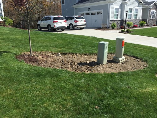 Landscape to hide utility boxes