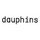 dauphins architecture