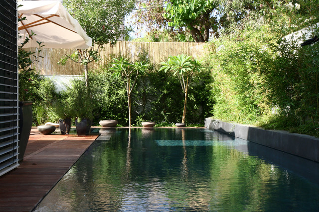 itamar 1 asiatisk-pool