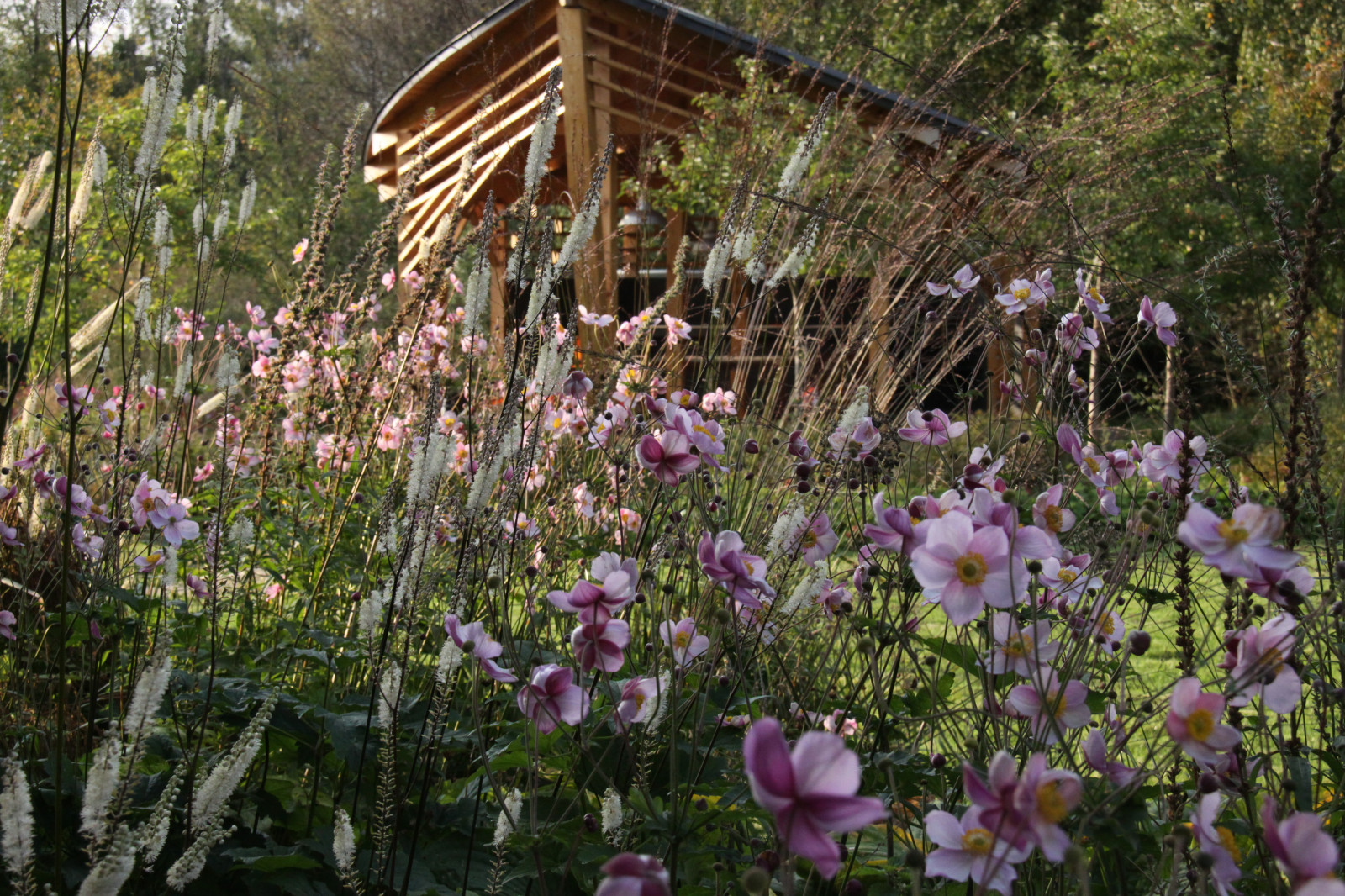 Сад "Три плюс два"