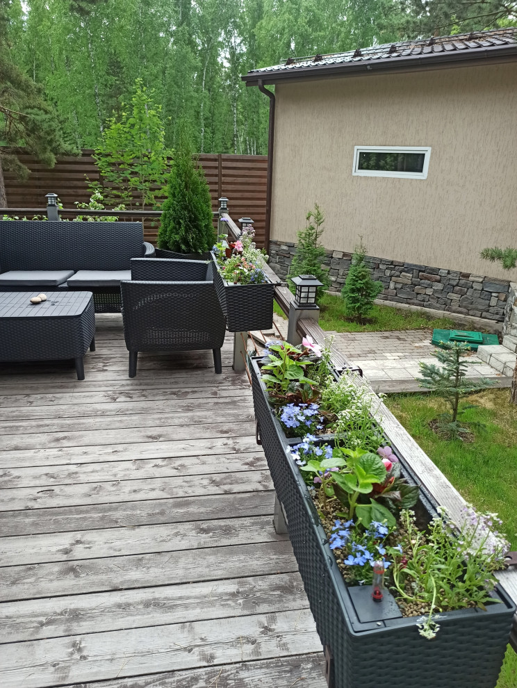 Уютная терраса и гостинная с растениями