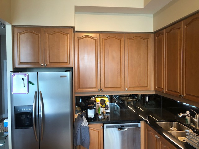 Penthouse Condo Apaerment in Square 1 - Kitchen Remodeling