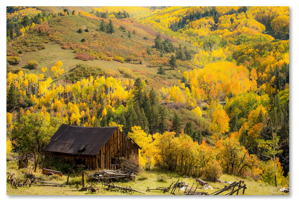 Dan Ballard Fall Pallet Canvas Art Farmhouse Prints And Posters By Trademark Global