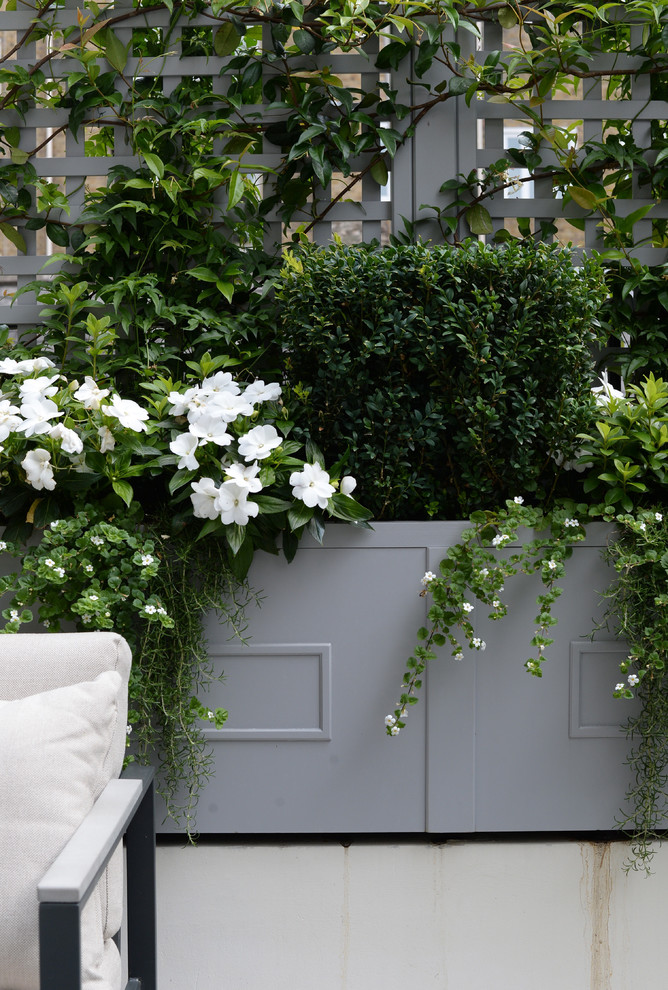 Small traditional rooftop deck in London with a container garden and no cover.