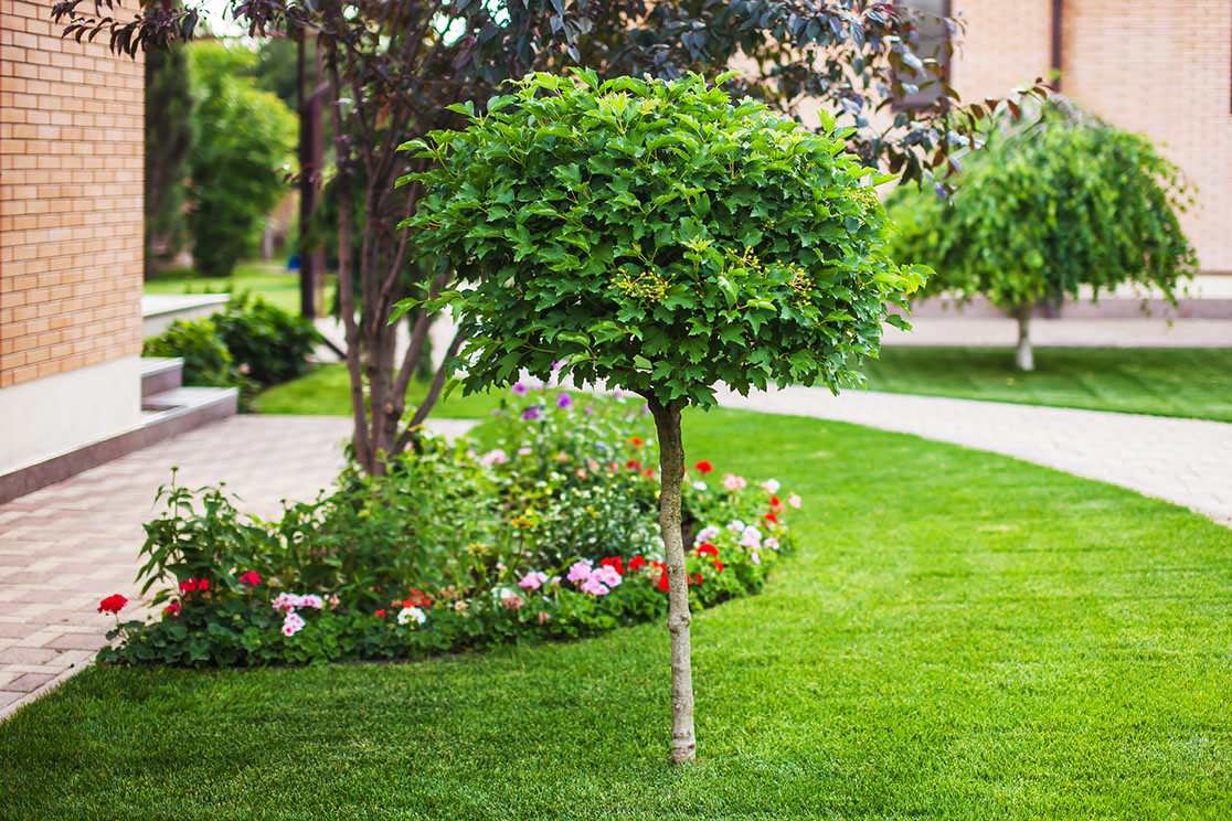 ландшафтный дизайн 2