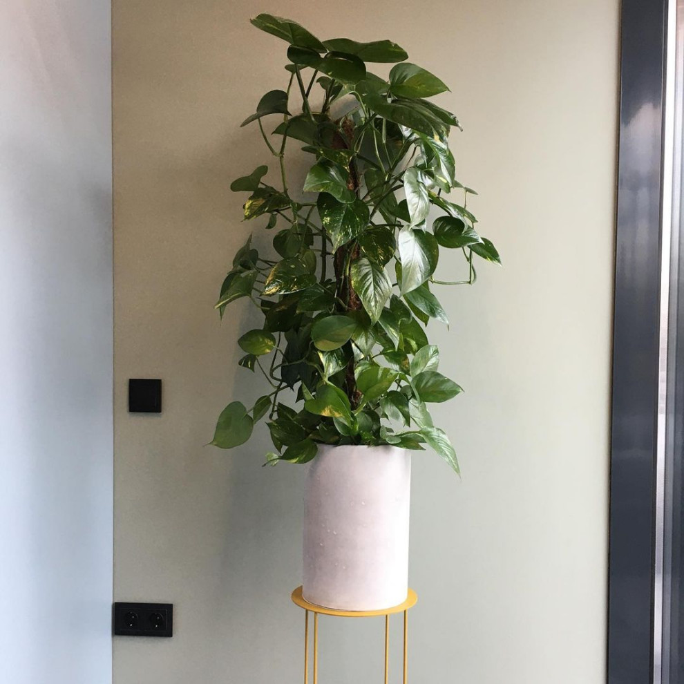 Сеть салонов красоты Аутентика