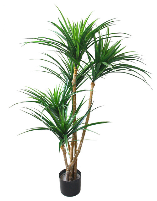 Romano 51 Inch Indoor Outdoor Uv Resistant Tropical Yucana Tree Romano 51 Inch Indoor Outdoor Uv Resistant Tropical Yucana Tree