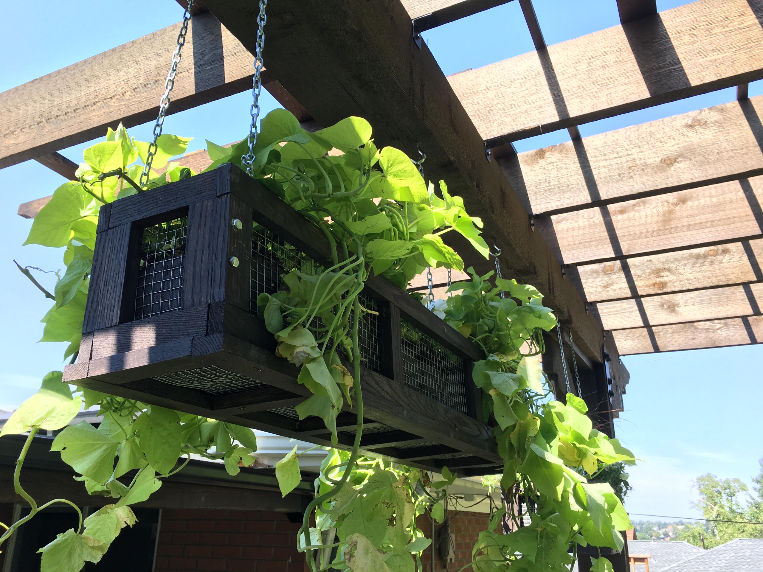 Custom hanging planters
