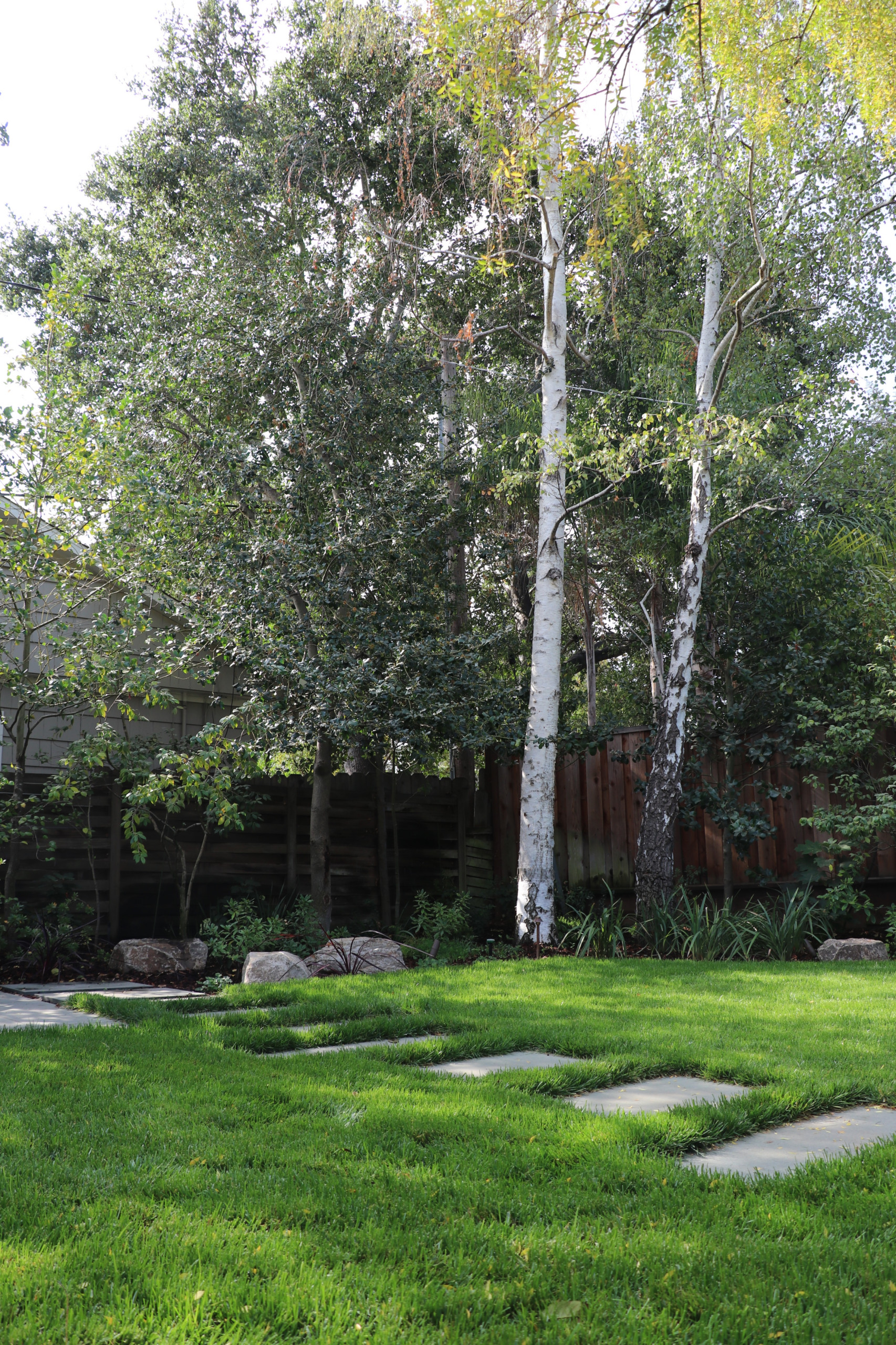 SWEDISH FLAME IN WOODS