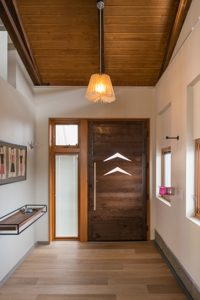 Inspiration for a contemporary entry hall in San Diego with white walls, light hardwood floors, a single front door and a dark wood front door.