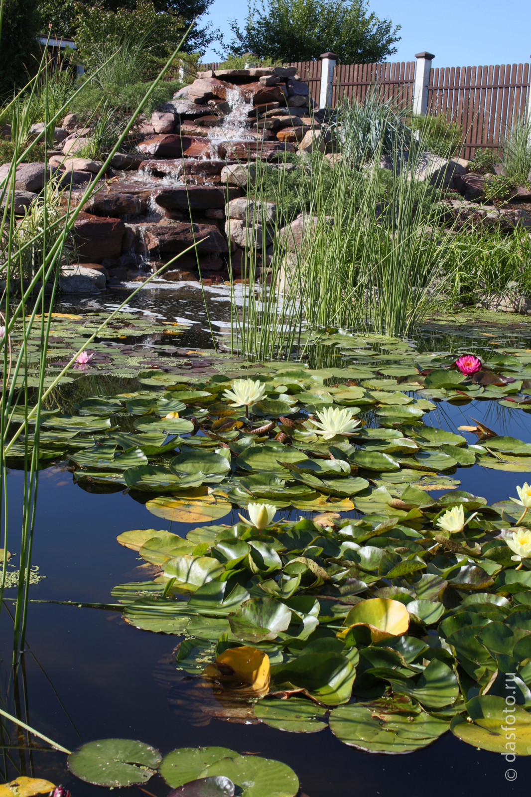 "реконструкция водоема"