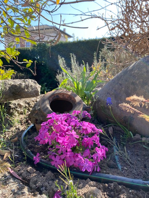 Un giardino roccioso