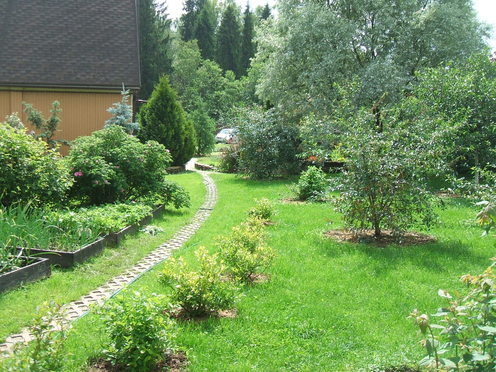 Ландшафт по Новорижскому шоссе