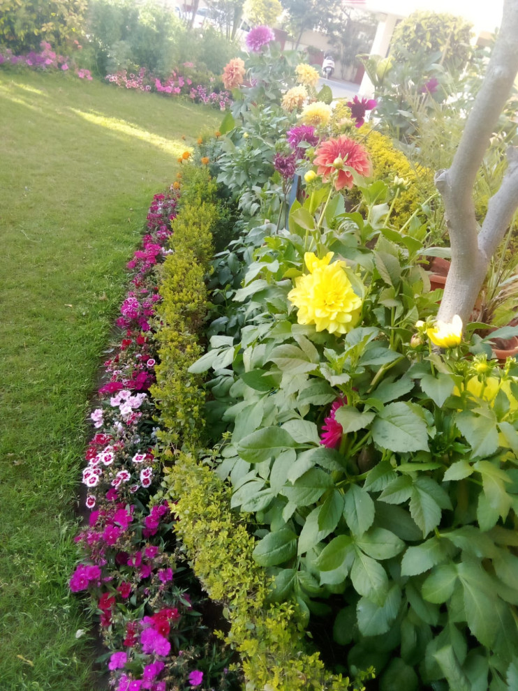 Design ideas for an Indian garden in Mumbai.