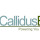 Callidus Electric | Las Vegas Electrician