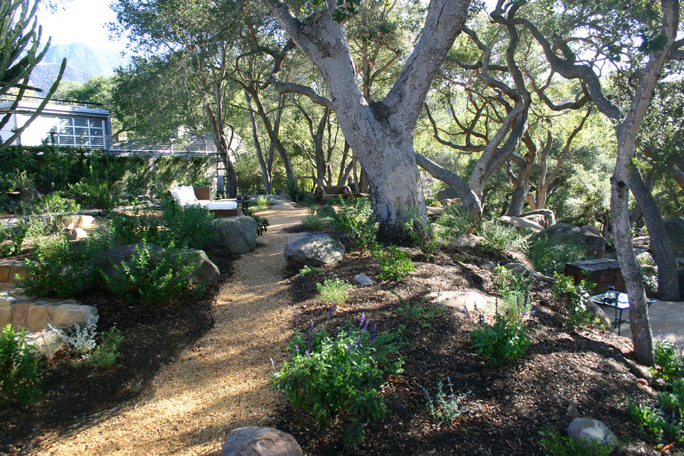 Photo of a rustic landscaping in Santa Barbara.