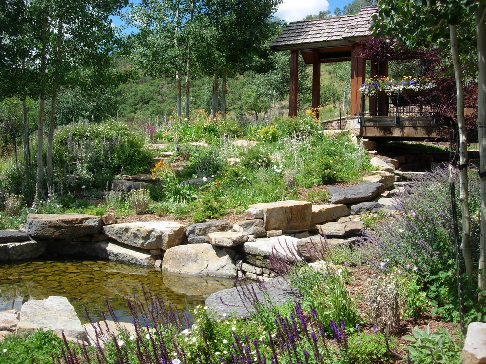Design ideas for a contemporary garden in Denver.