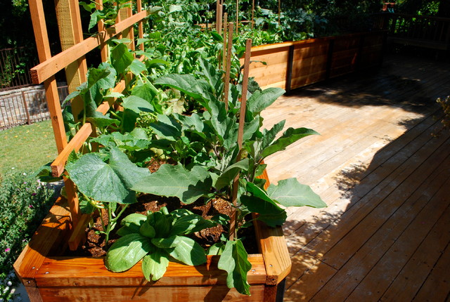 JD Garden american-traditional-terrace