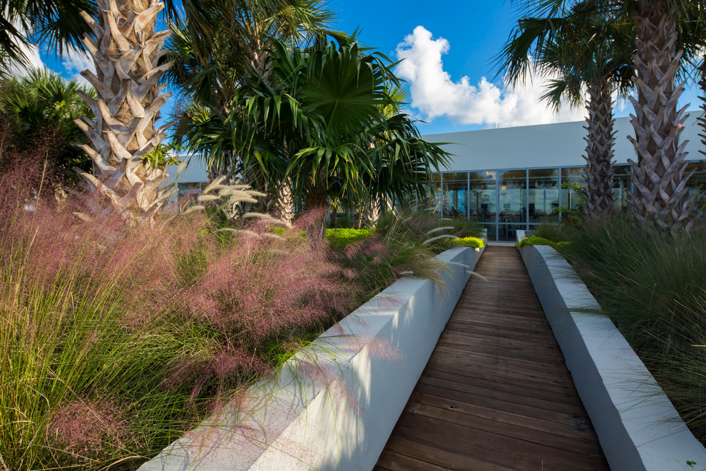 Design ideas for a tropical rooftop full sun garden in Miami with a retaining wall and decking.