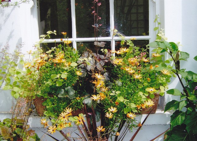 A basement garden klassisk-uteplats