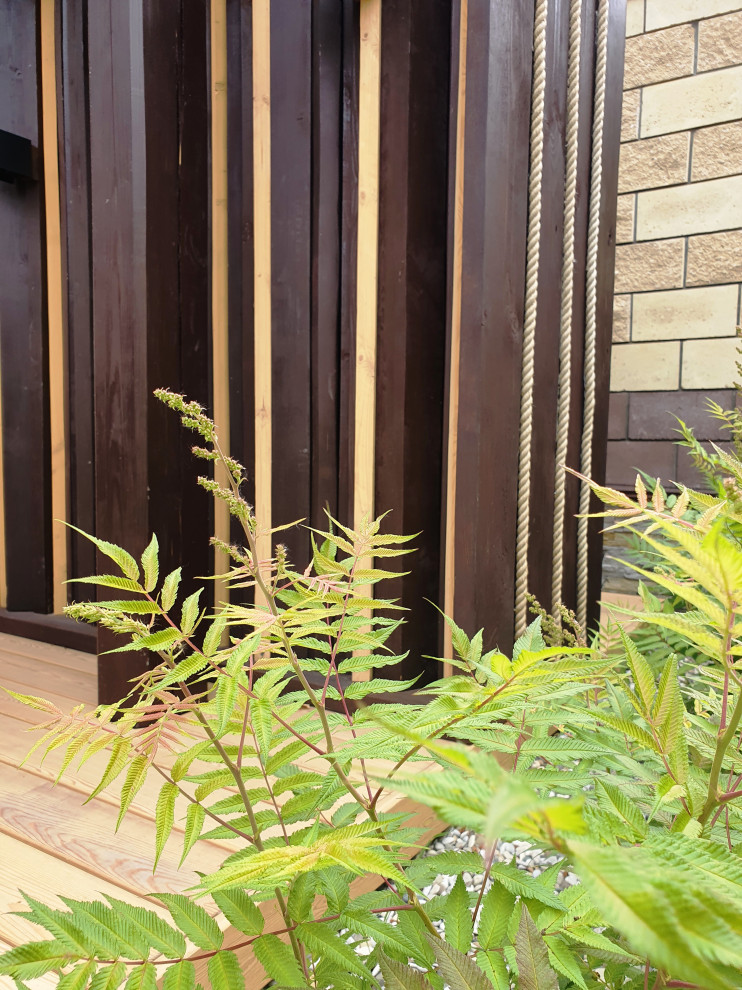 Сад с розами